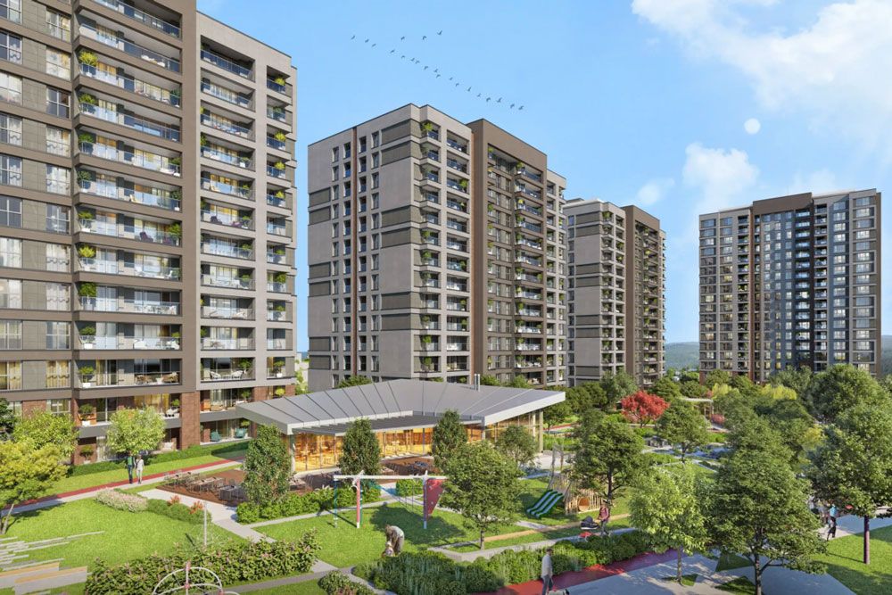  Property Gallery 